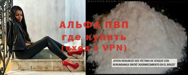 сатива Аркадак