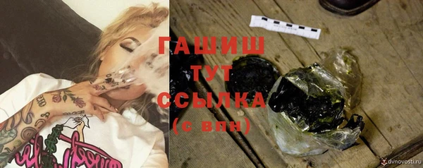 сатива Аркадак